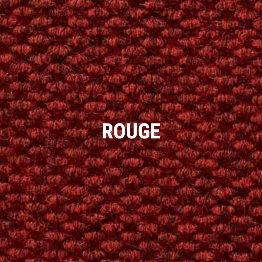 Tapis grattants Tapis aiguilleté robuste - 174 - 113 MASTER TRAX